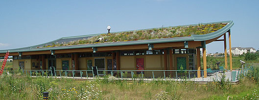 techos verdes